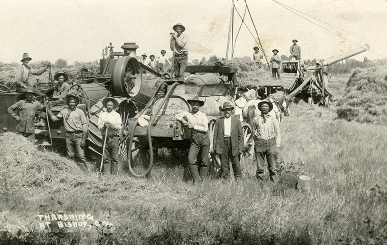 threshing operation